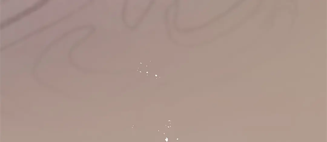 第225页