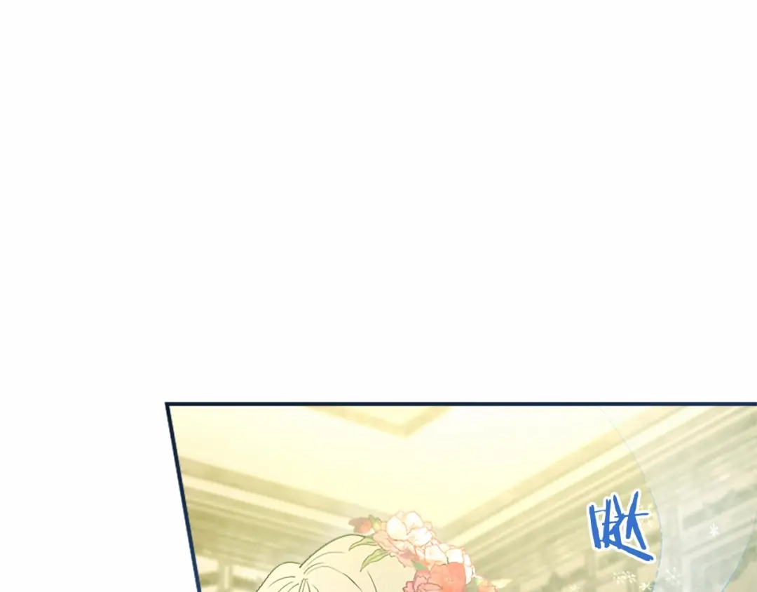 第224页