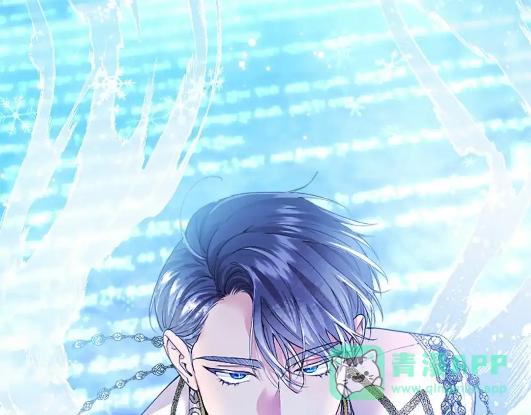 第251页