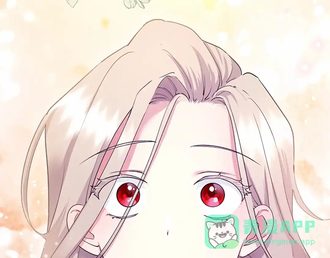 第221页