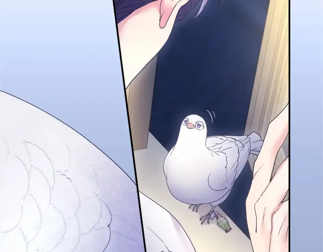 第185页