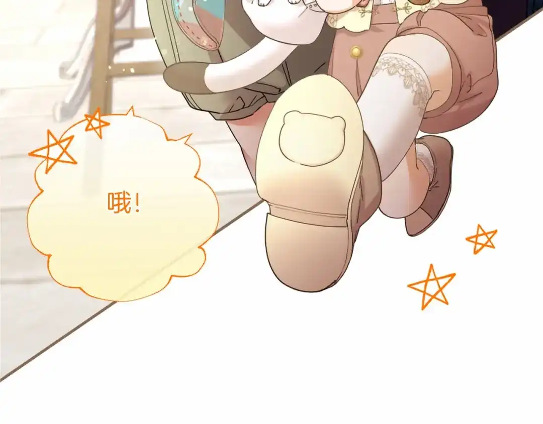 第204页