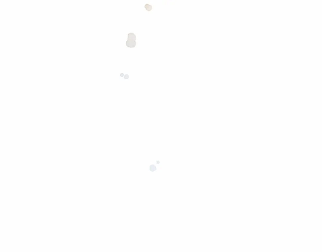第242页