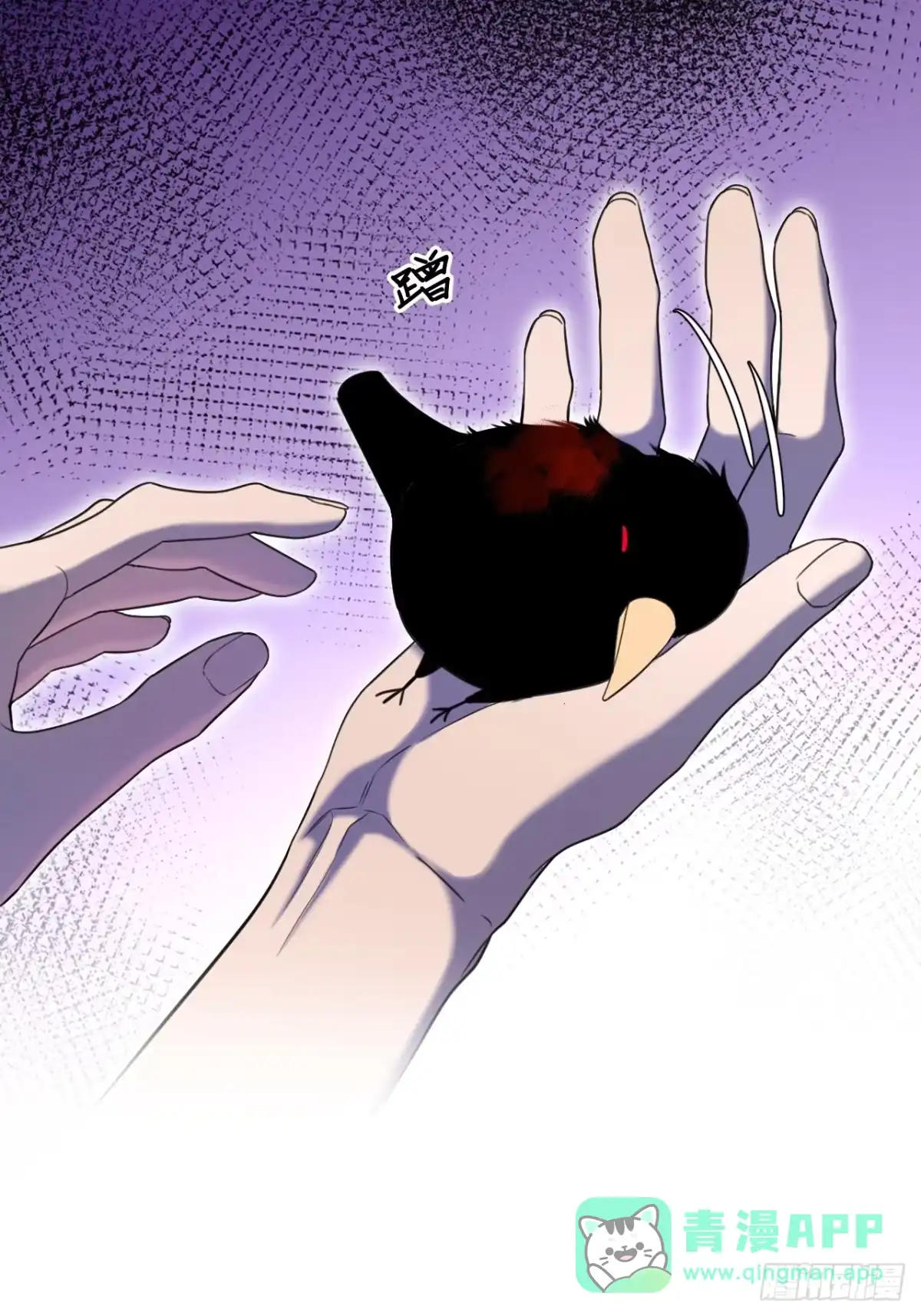 第56页
