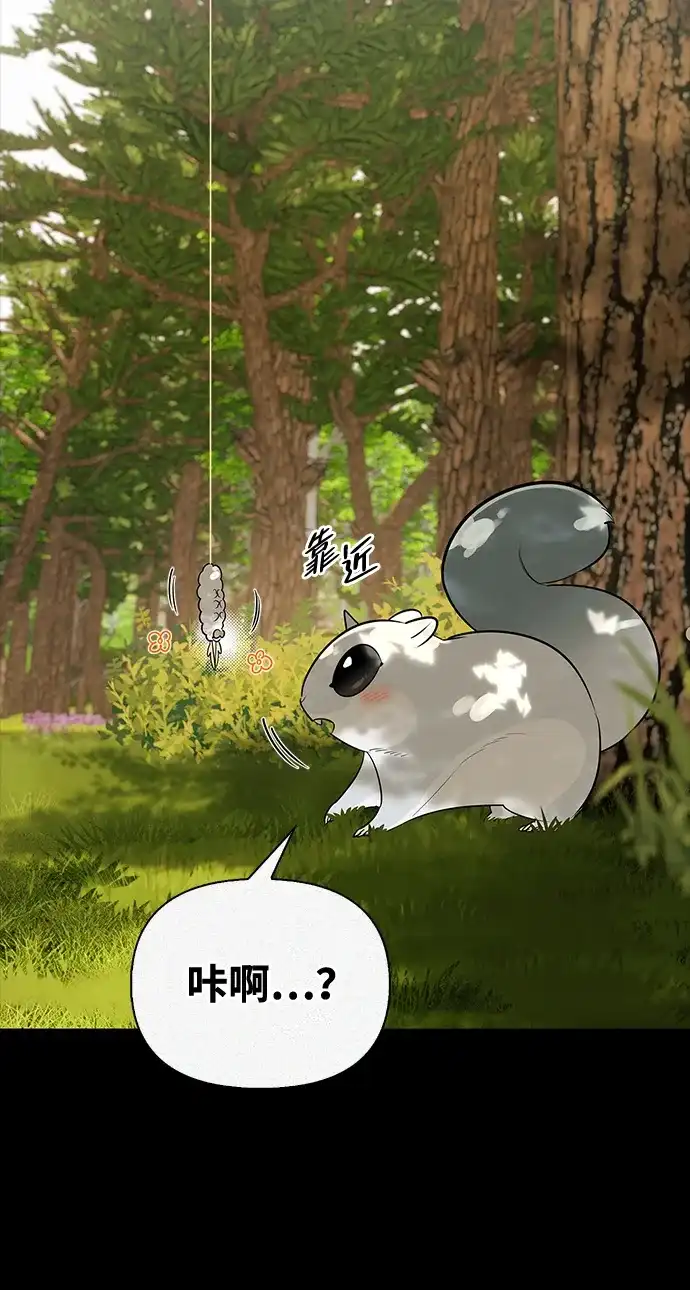与异兽一起疗愈的S级猎人 [第44话] 羽化 第65页