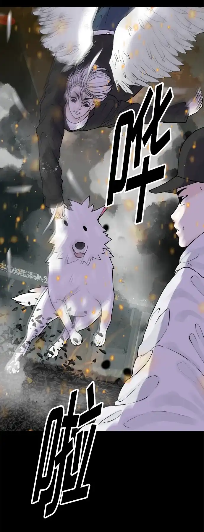 第54页