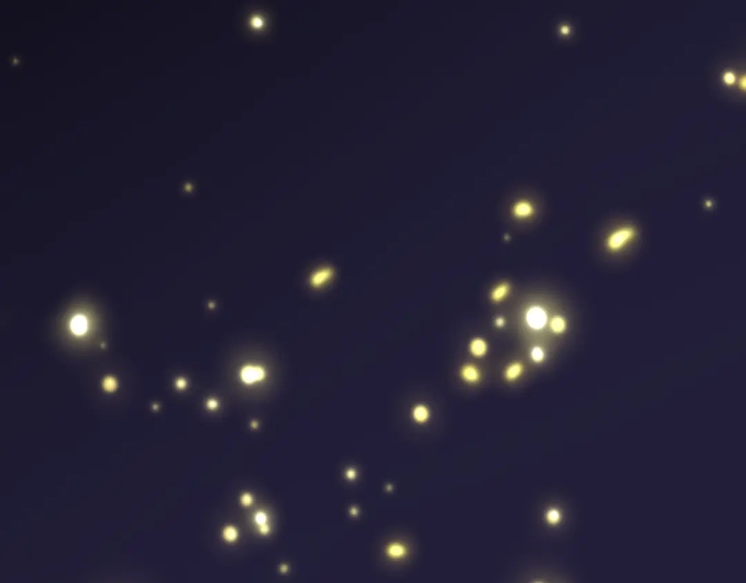 第310页