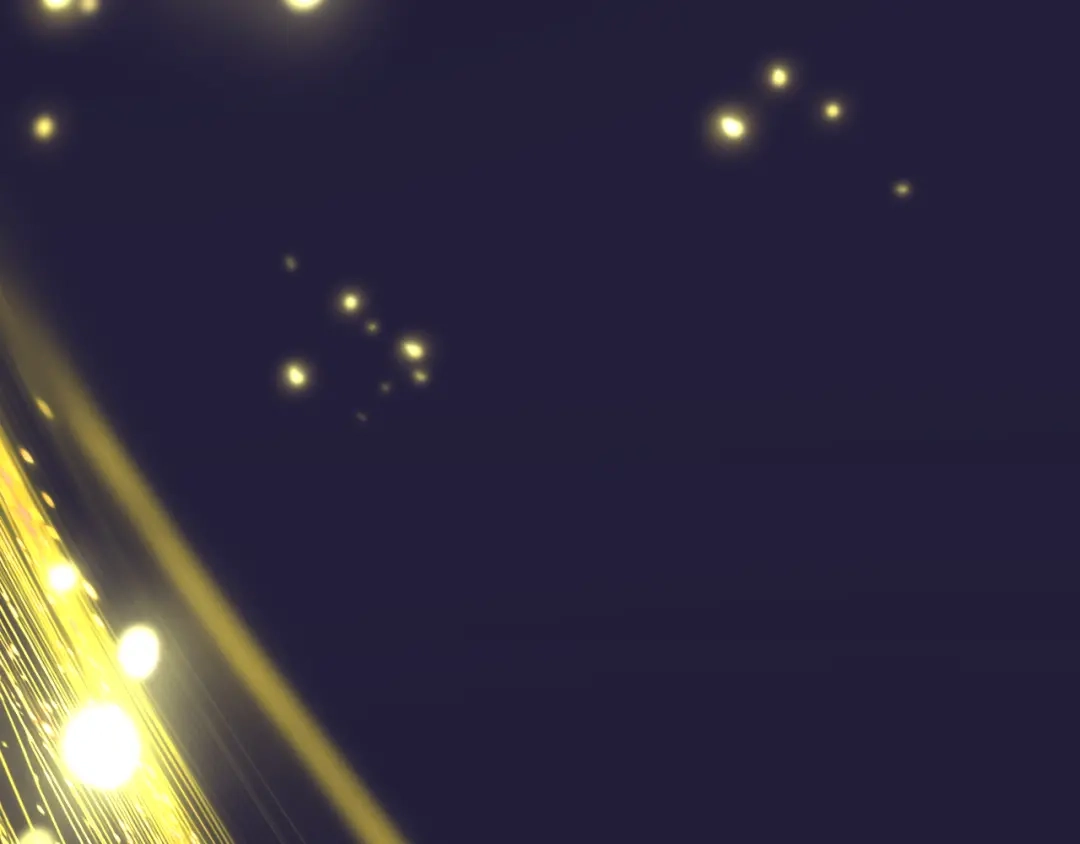 第313页