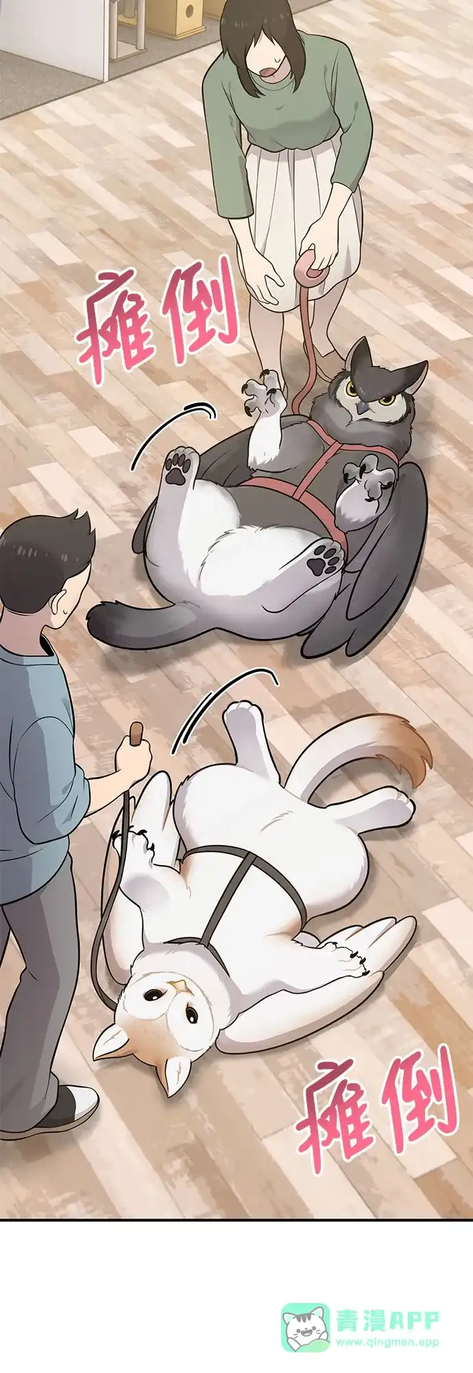 第46页