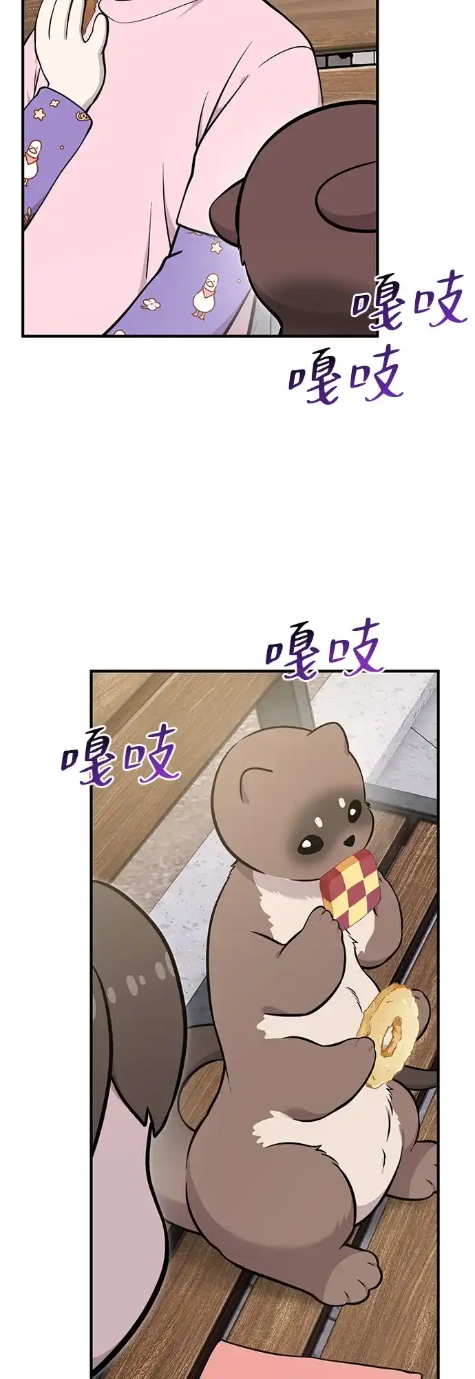第55页