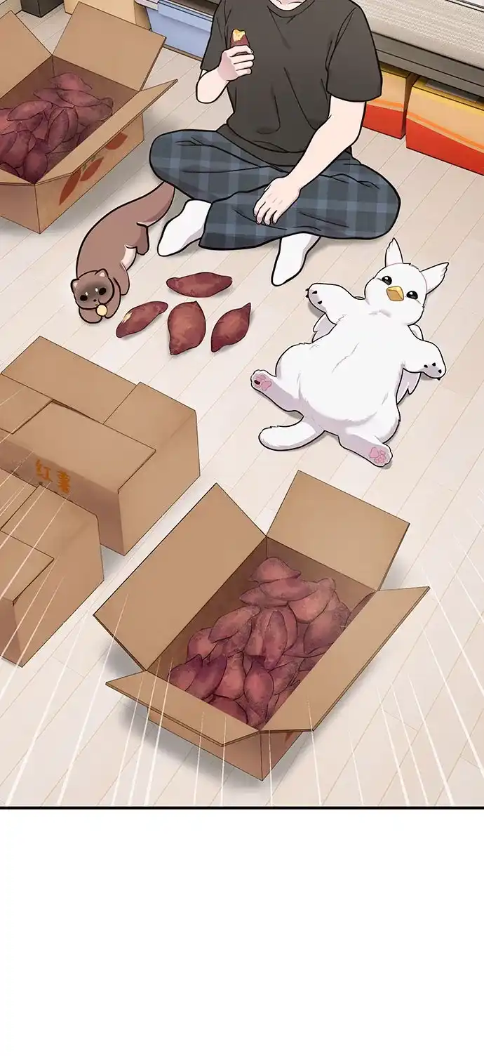 你好，小肥啾格里芬！ [第47话] 胖格里芬小啾 第42页