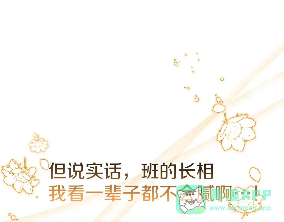 第251页