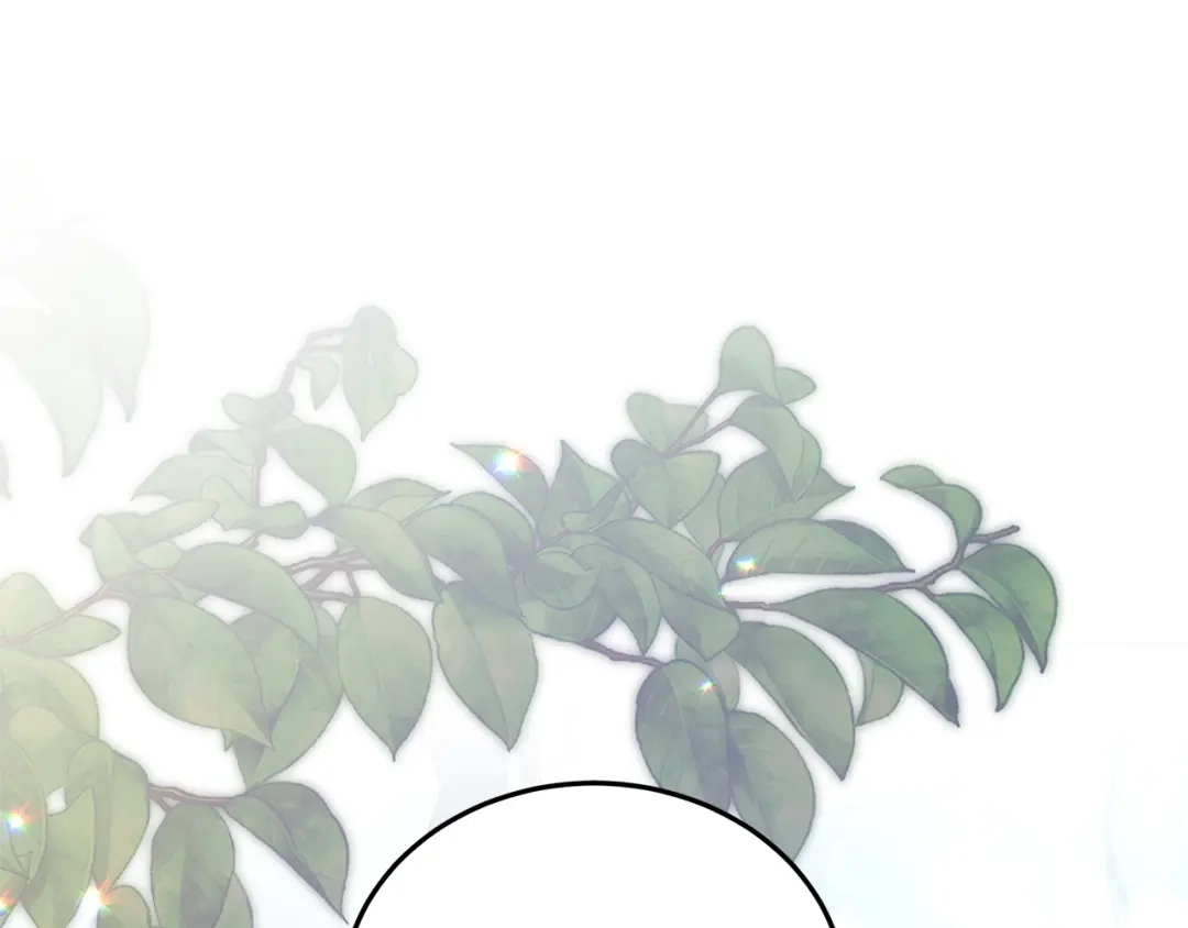 第253页