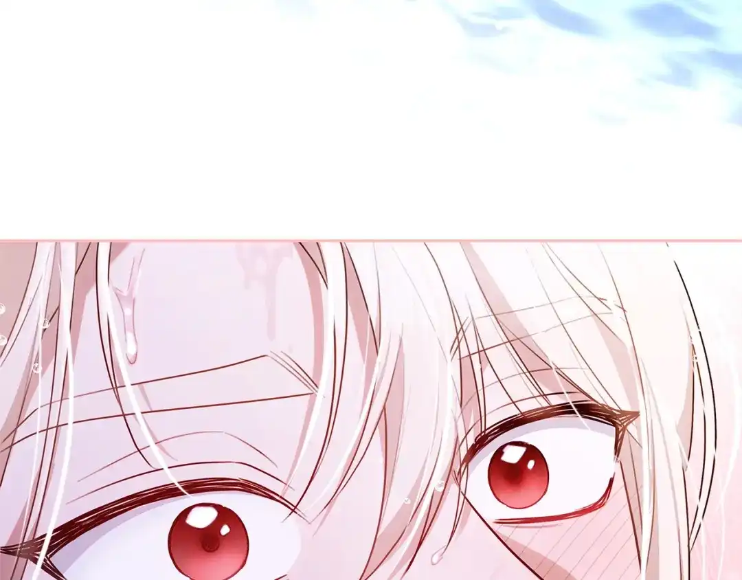 第278页