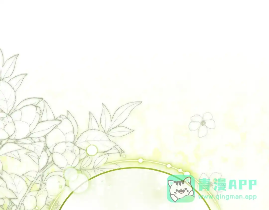 第221页