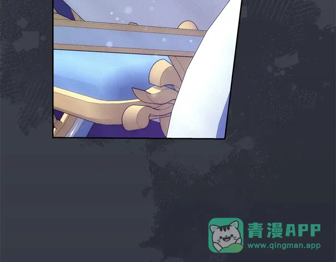 第216页