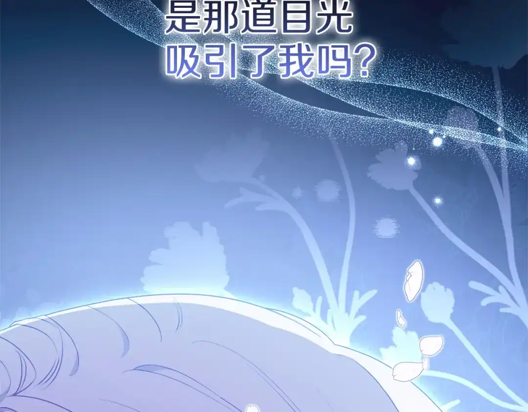 第215页