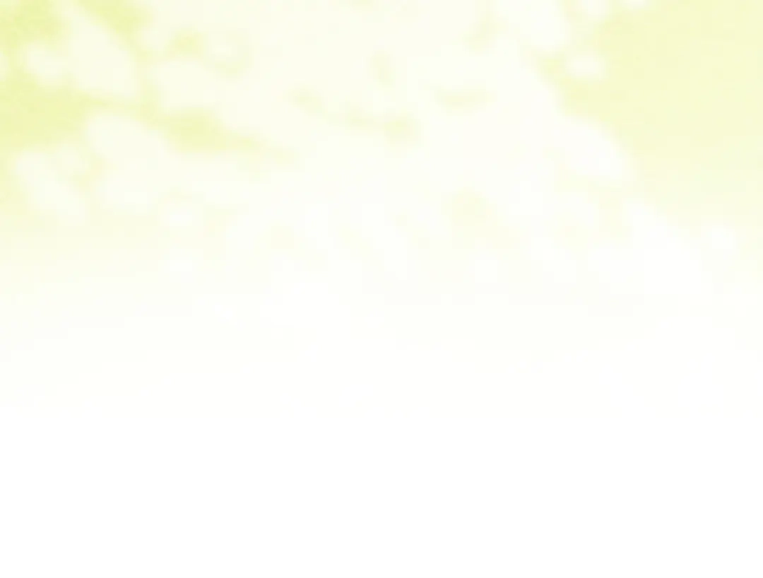 第265页