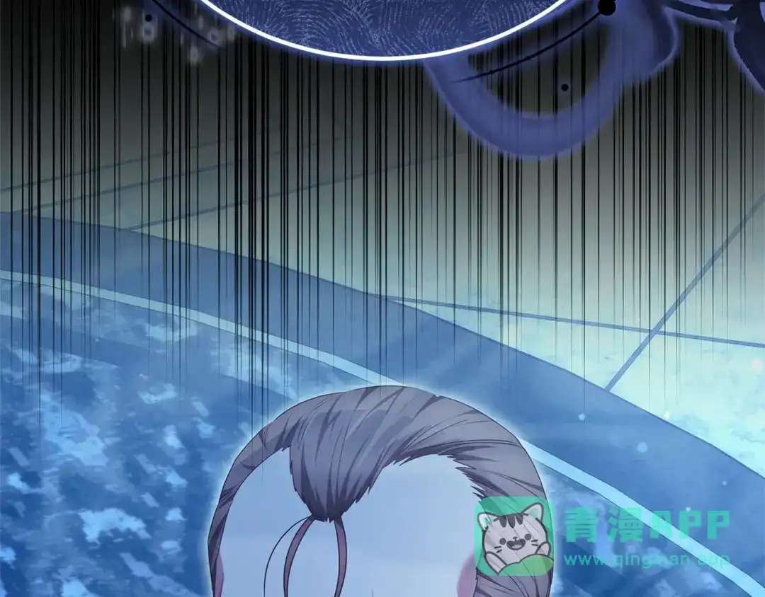 第246页