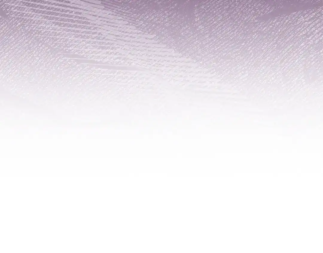 第225页