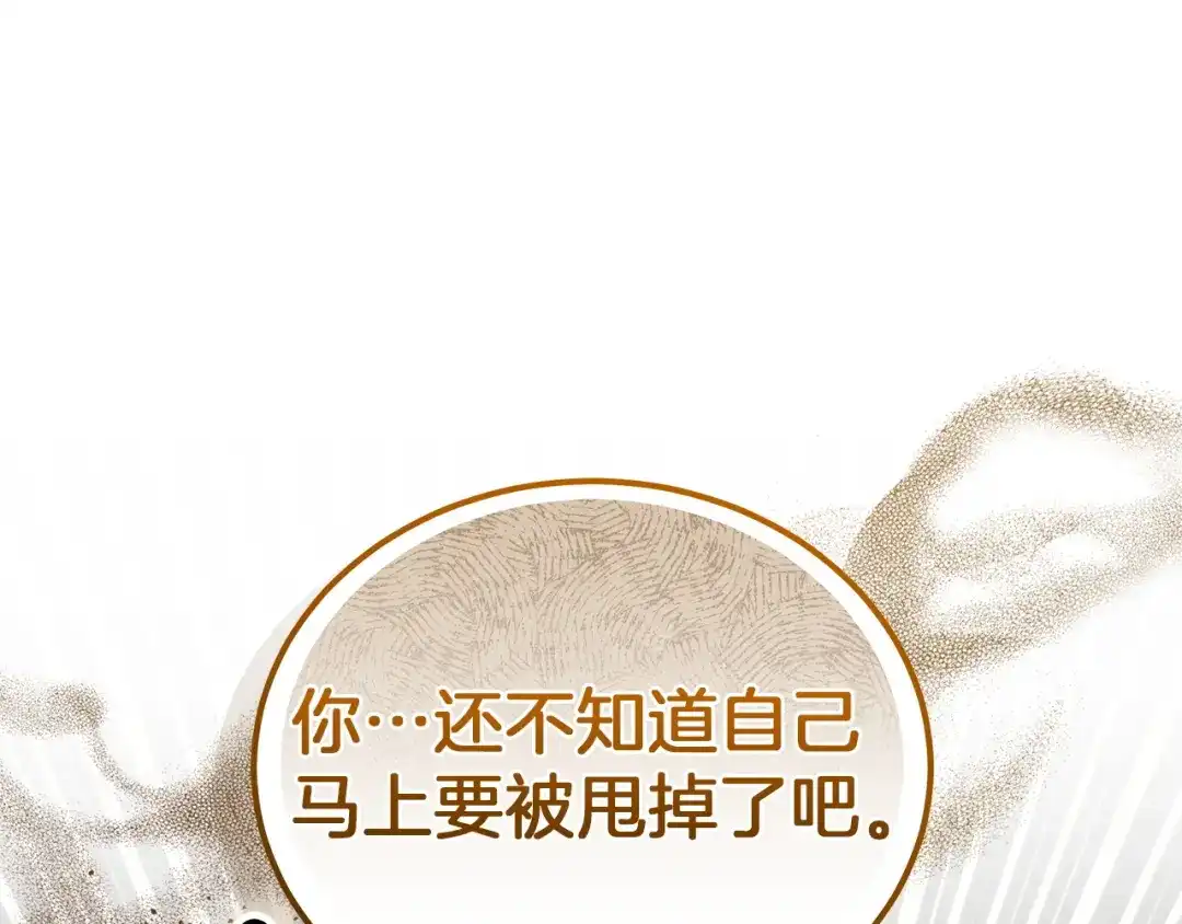 第247页