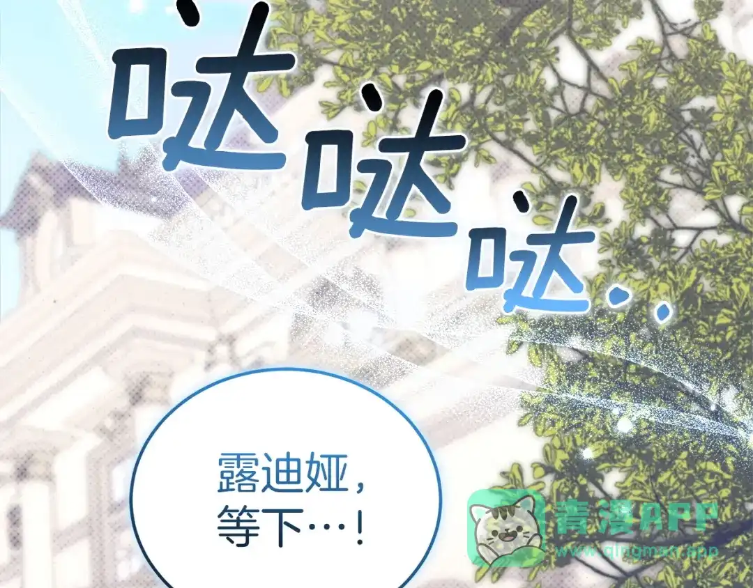 第246页