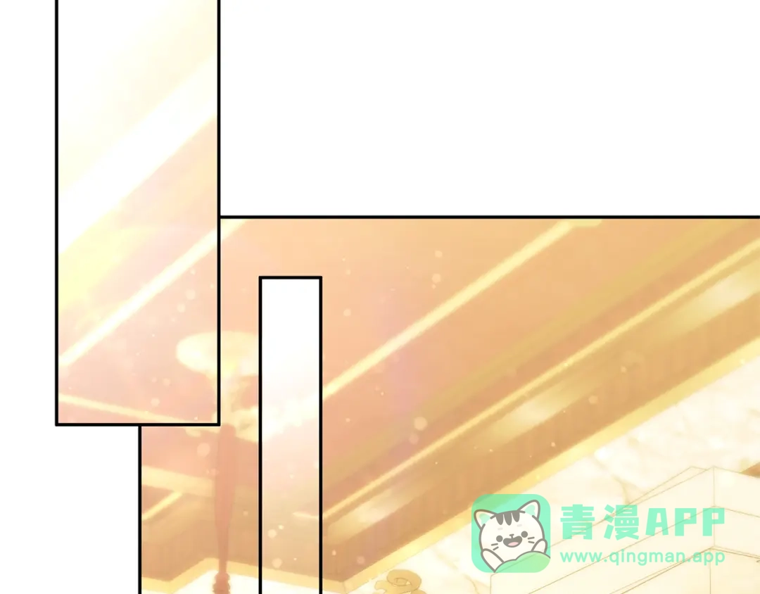 第221页