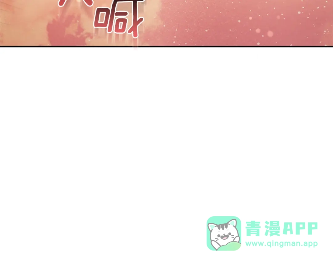 第256页