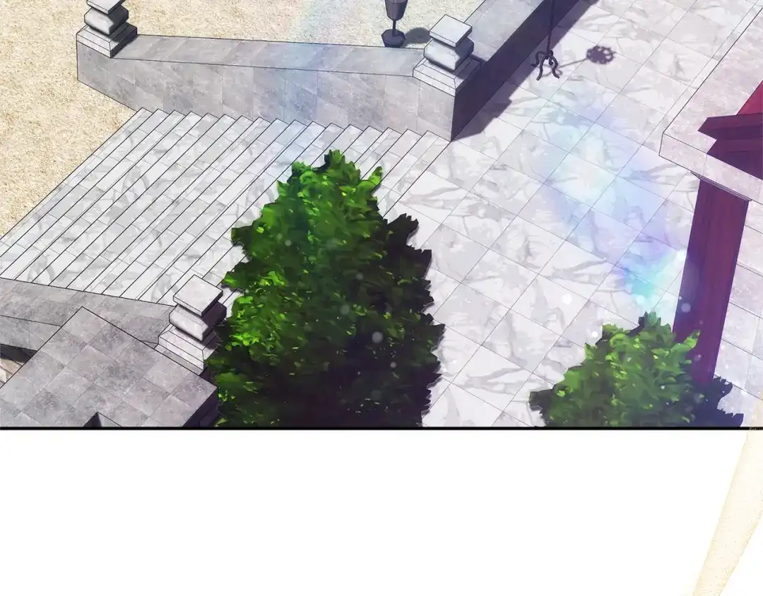 第233页