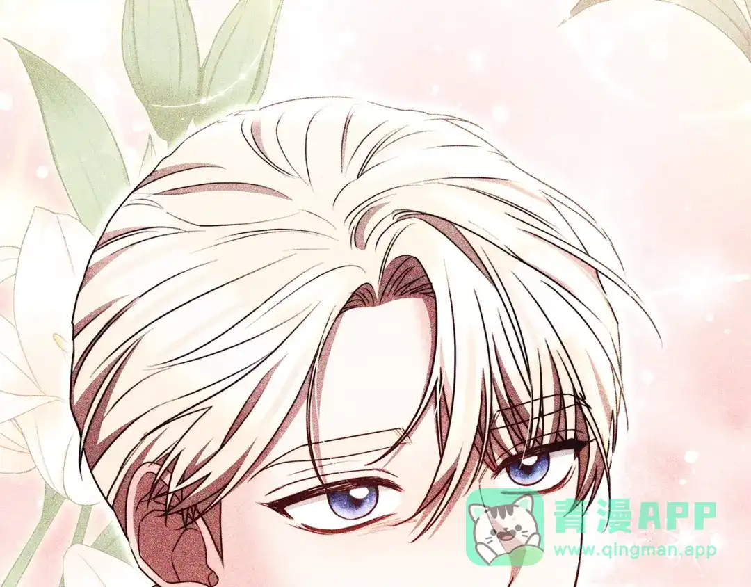 第251页