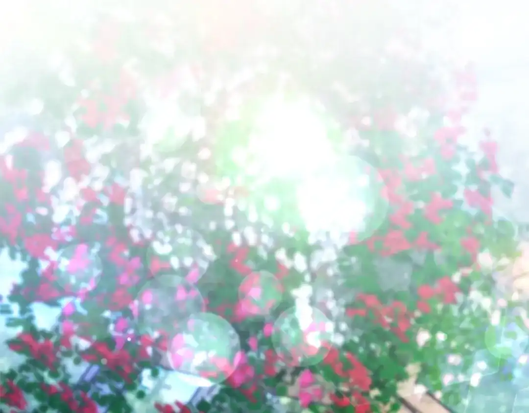 第218页