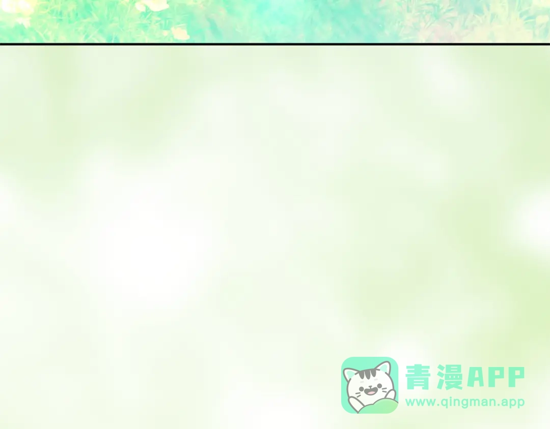 第221页