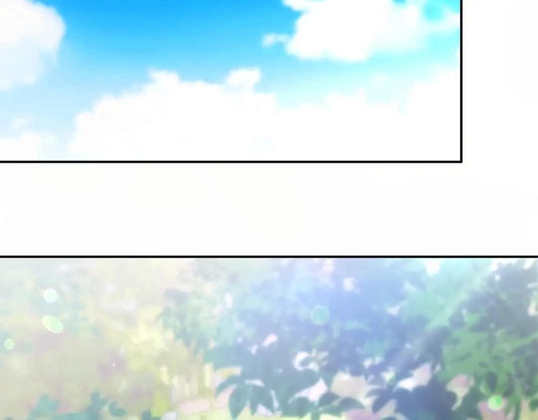第223页