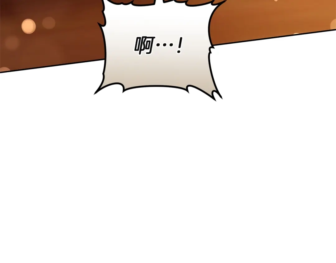 第251页