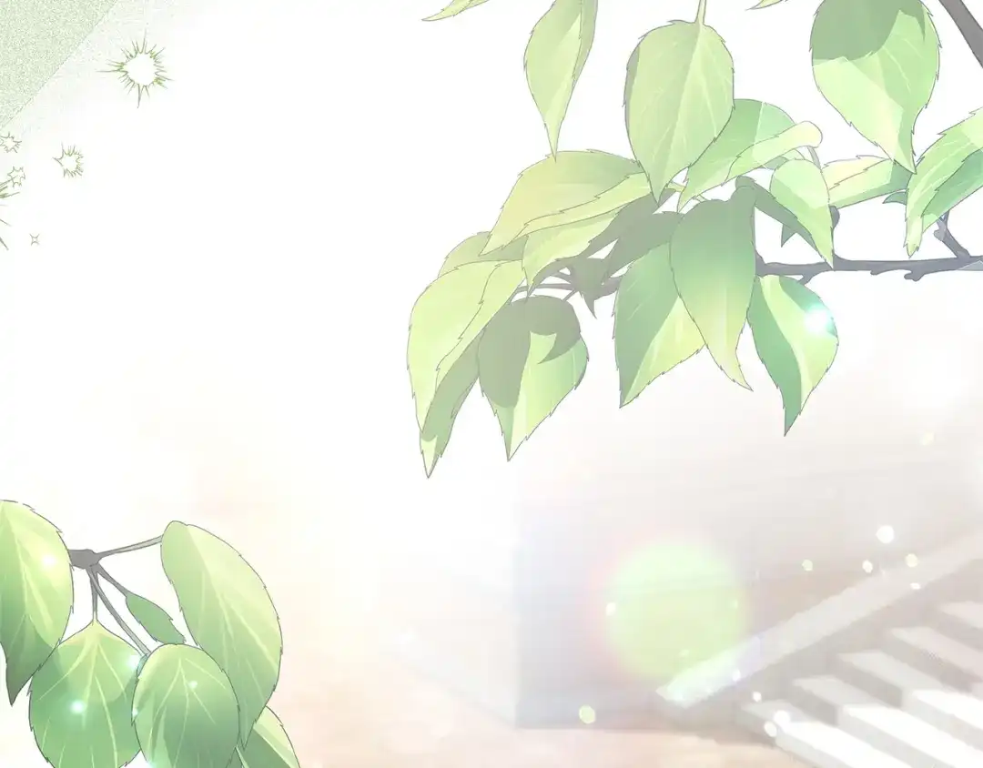 第217页