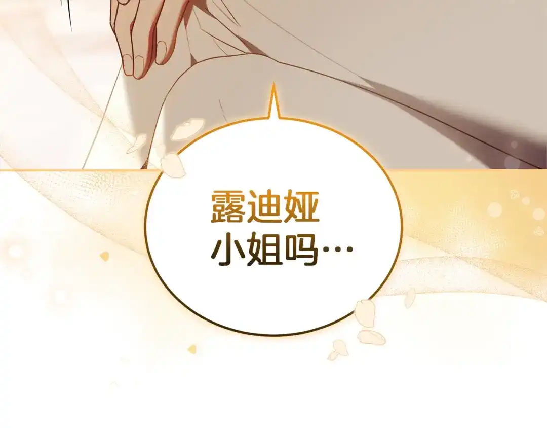 第223页
