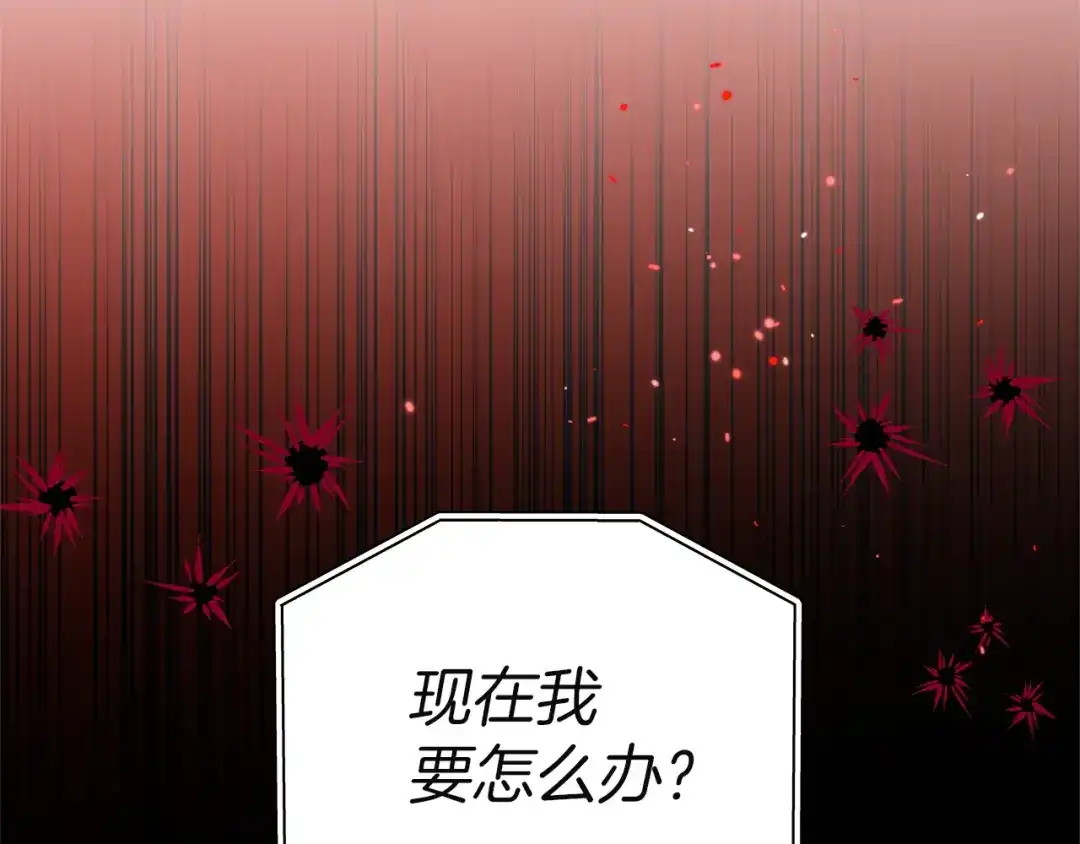 第256页