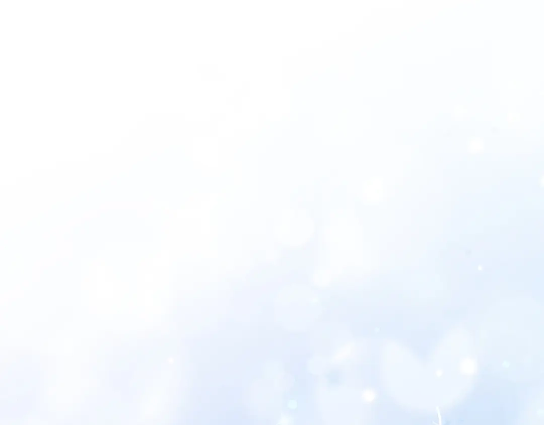 第262页