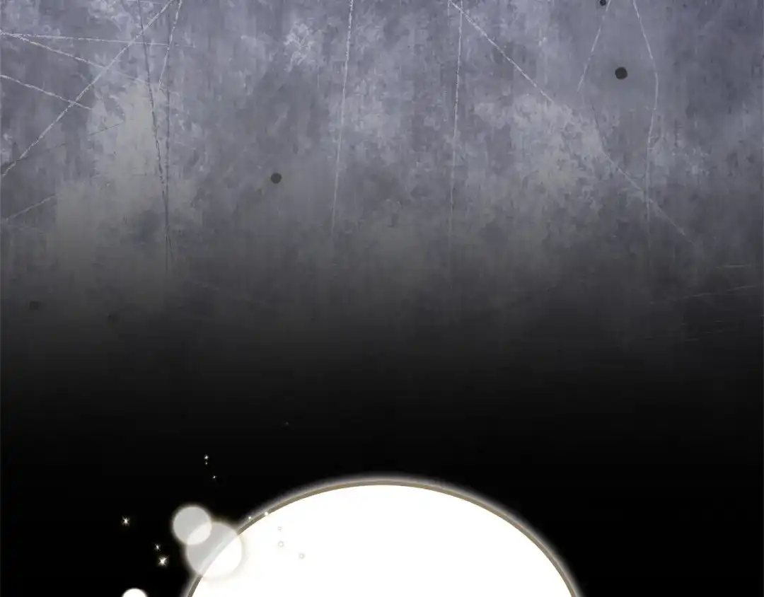 第221页