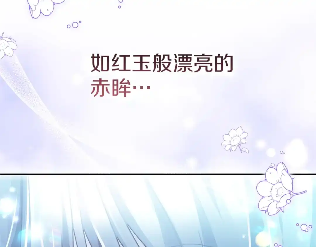 第217页