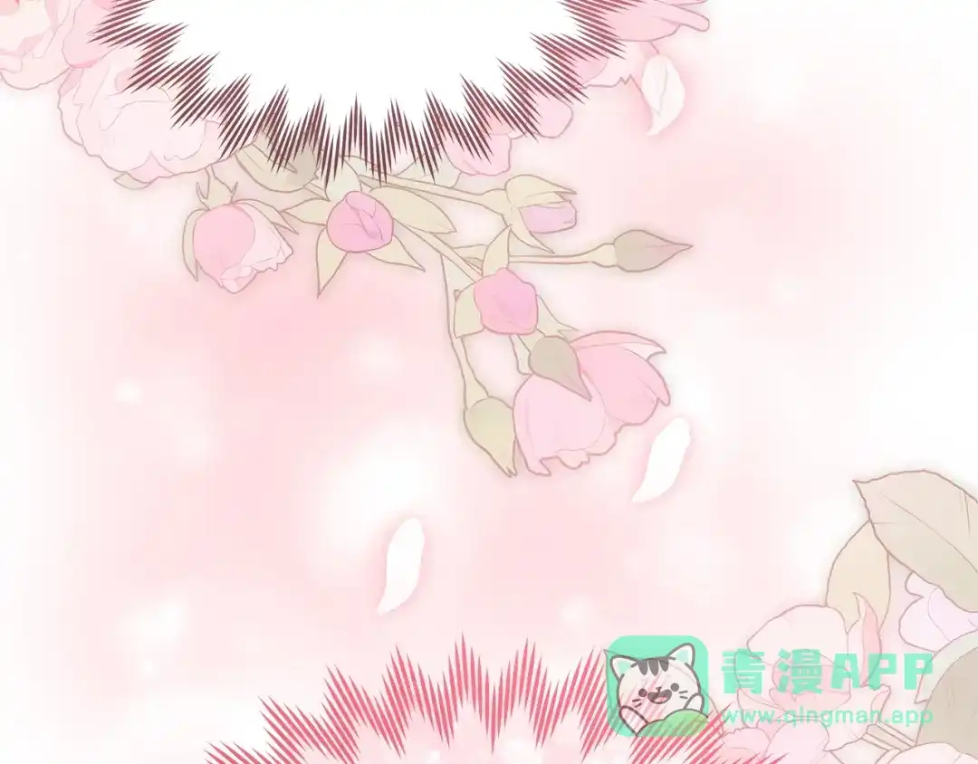 第256页