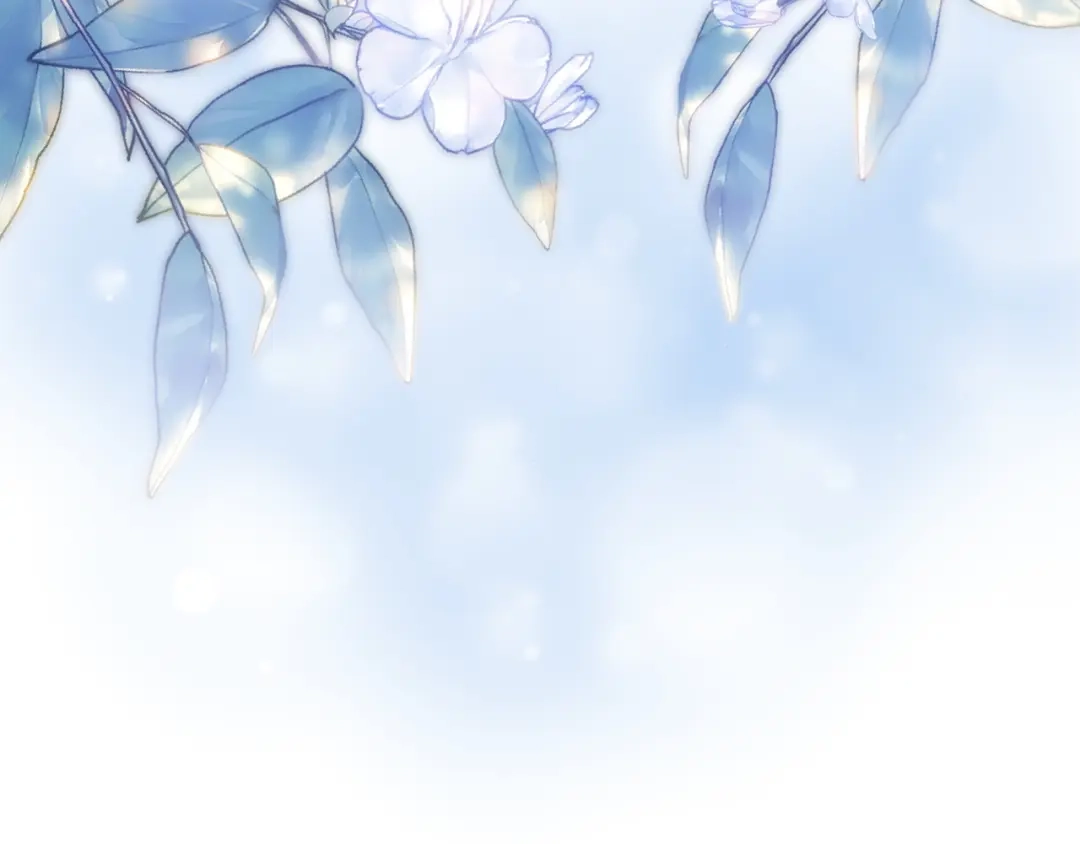 第224页