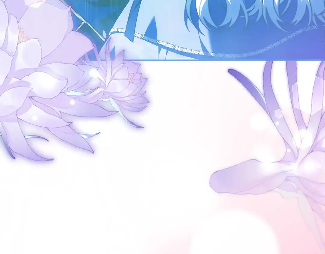 第244页