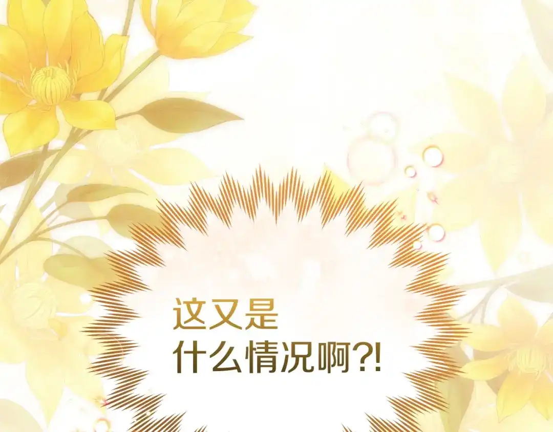 第260页