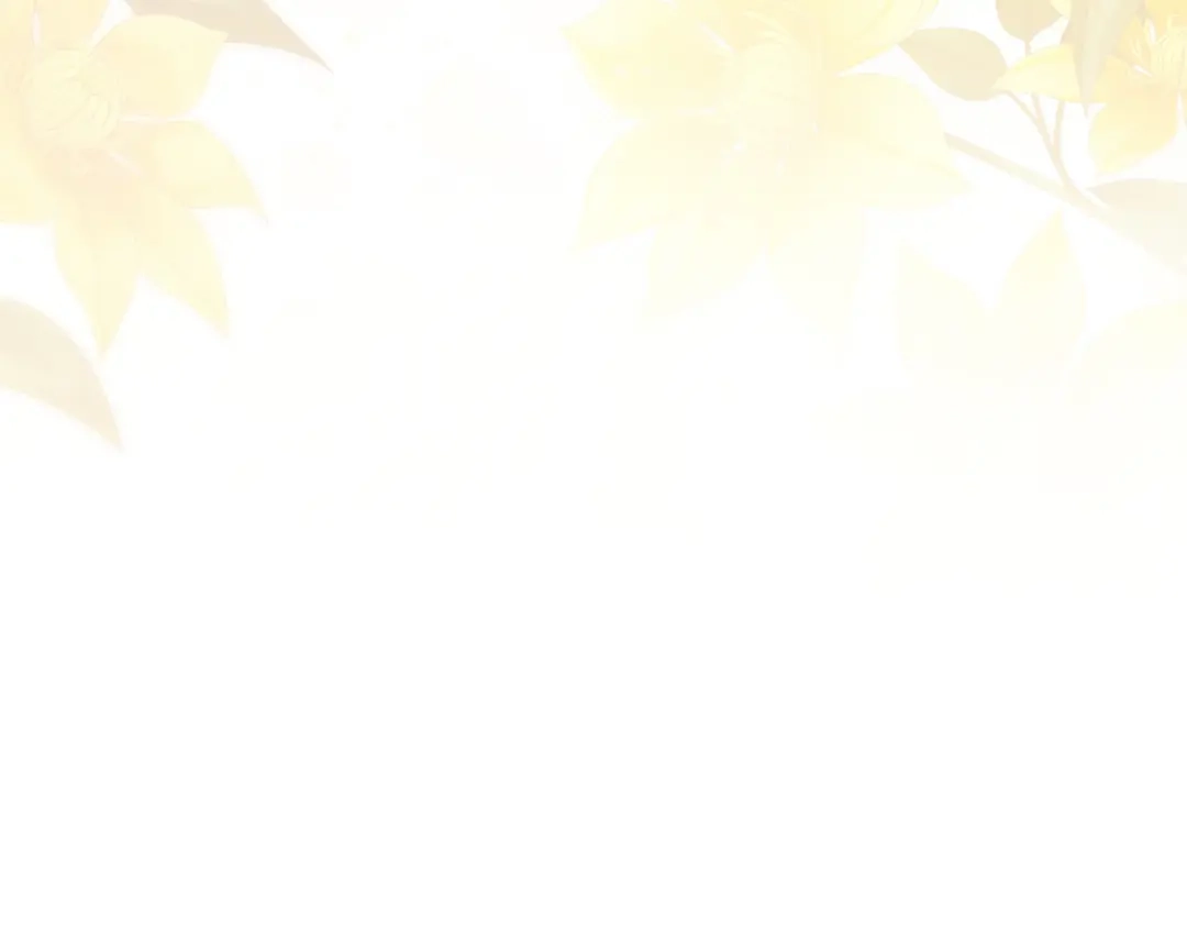 第262页