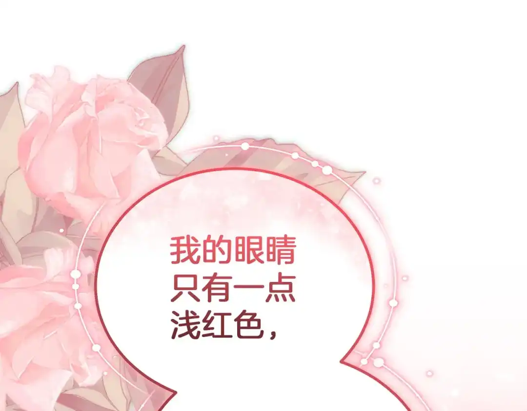 第224页