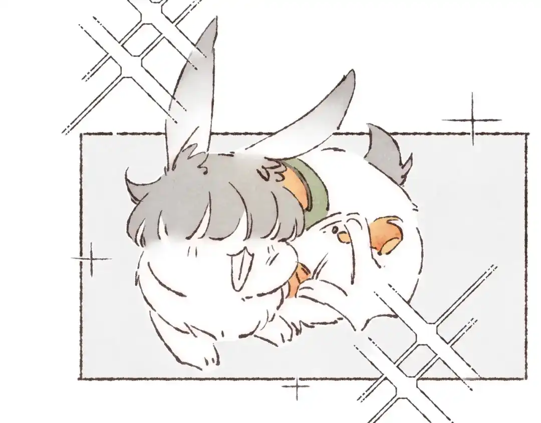第47页