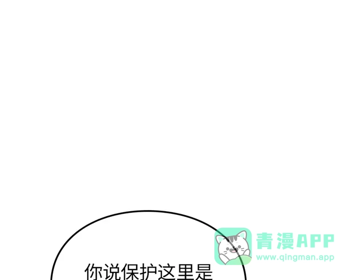 第251页