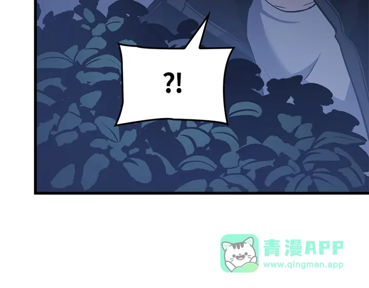 第241页