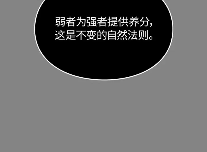第262页
